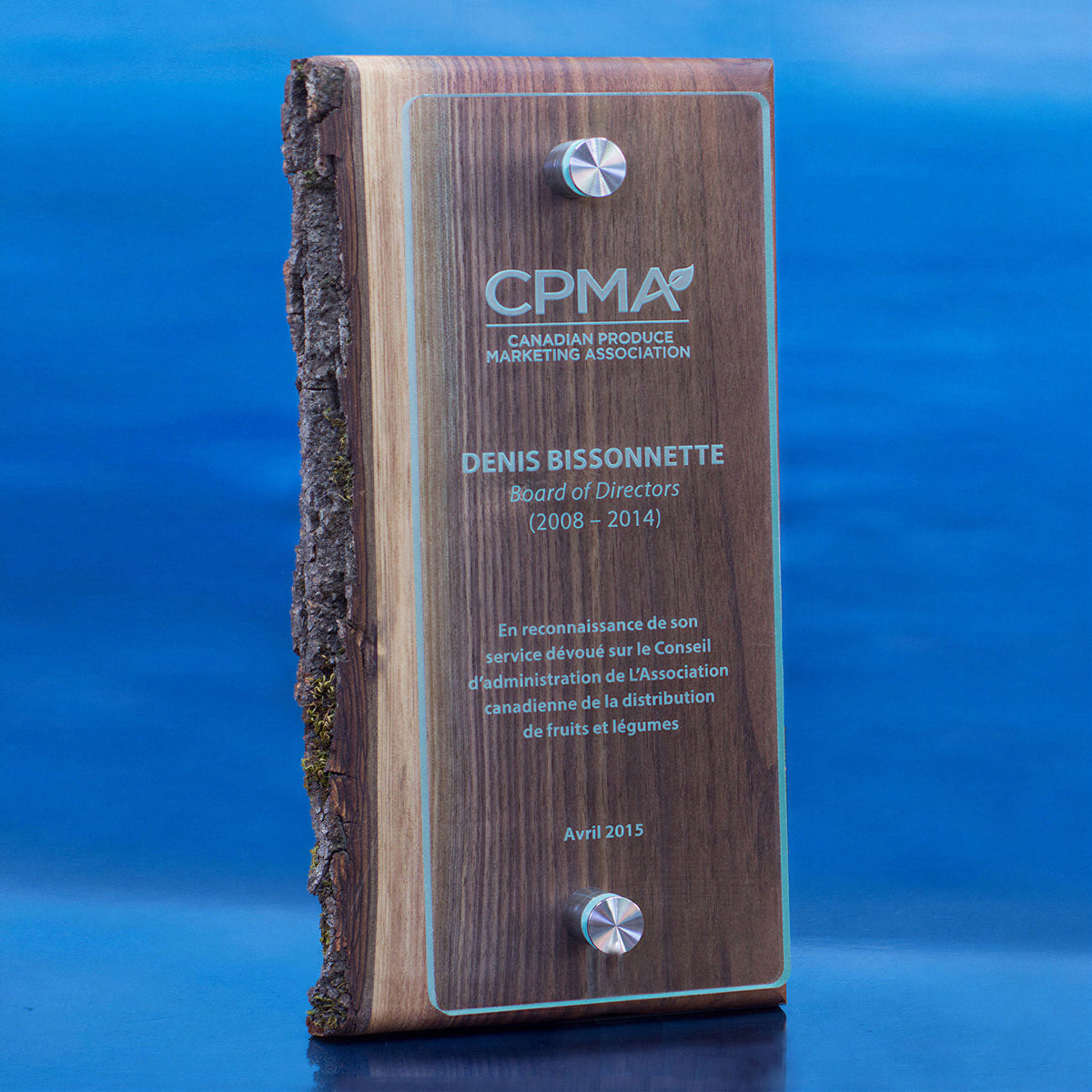 Canopy Wall Plaque - Walnut Wood & Glass